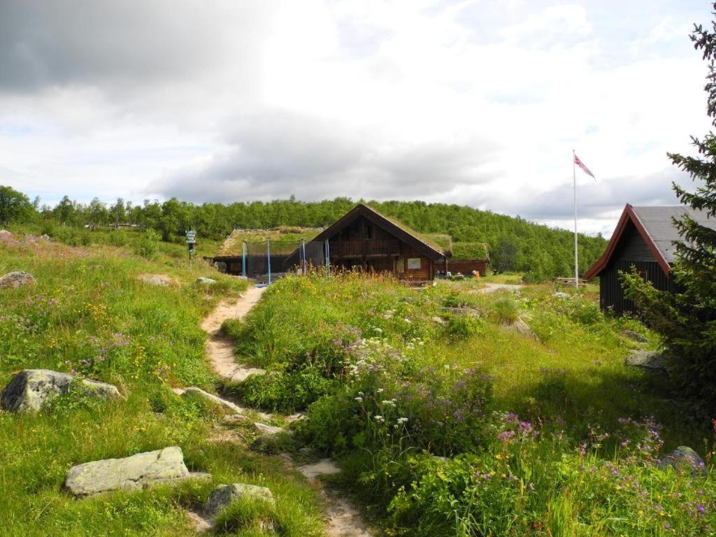 Hotel Hakkesetstolen Fjellstugu Geilo Exterior foto